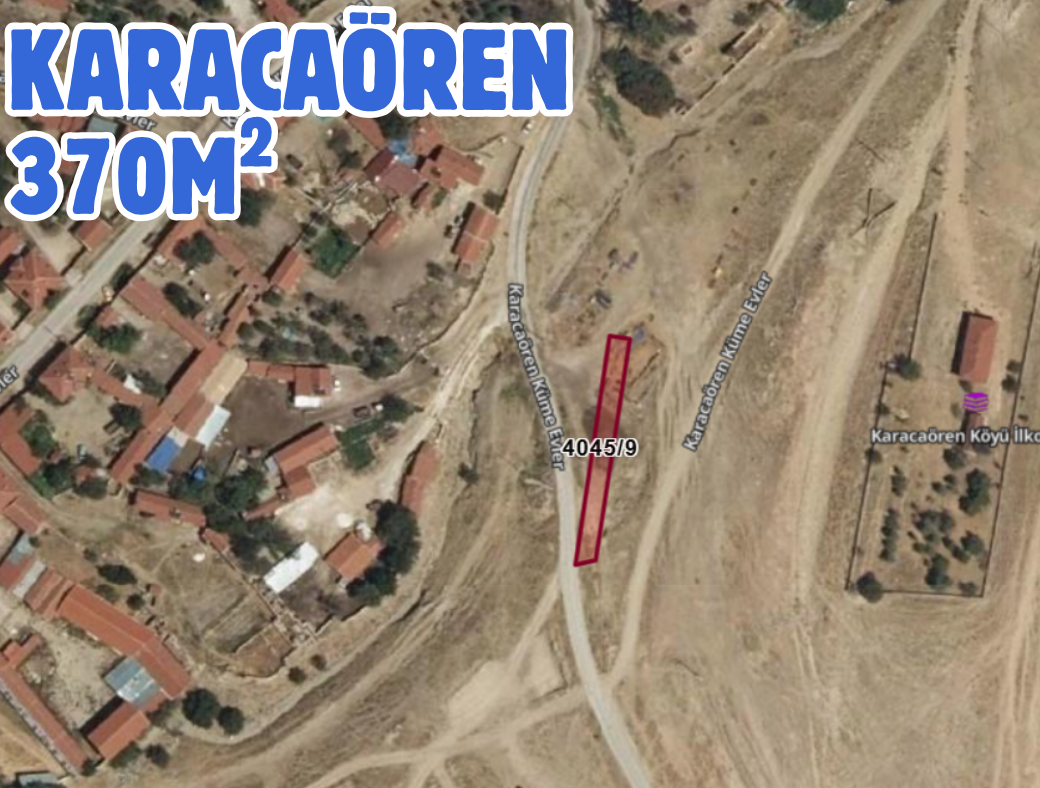Fotoğraf